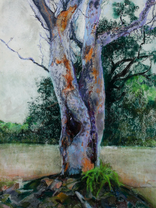 Anita Bērziņš-Misiņš, 