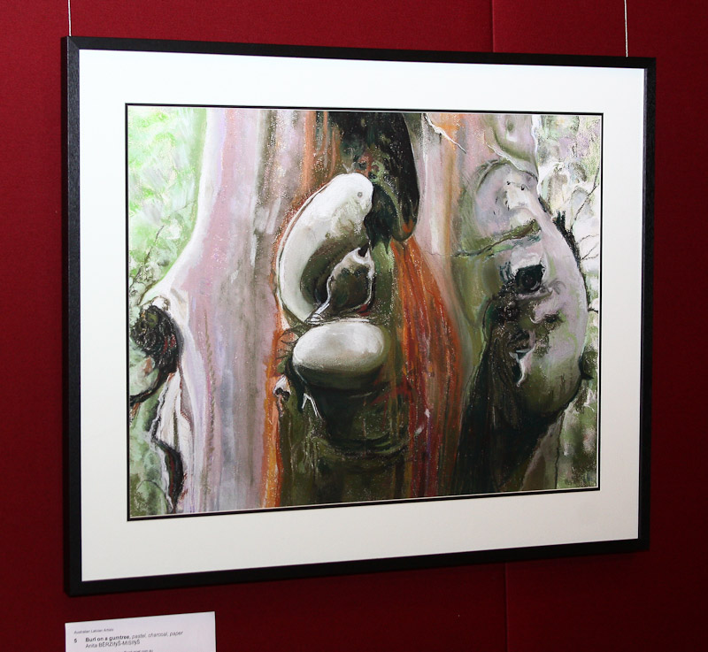 Anita Bērziņš-Misiņš, 